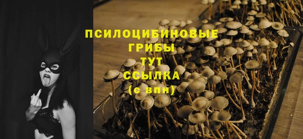 2c-b Белоозёрский