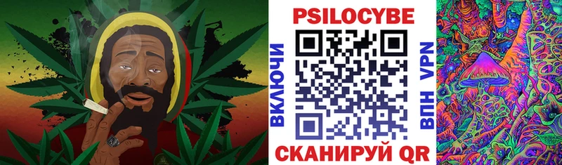 купить закладку  Покровск  Псилоцибиновые грибы Psilocybine cubensis 